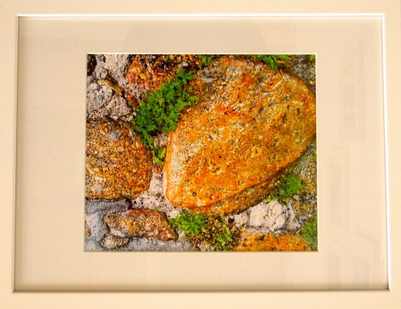 Fragments - 2013<br /><br /><h6>Cornwall: Wall</h6>  Artistâ€™s photographic print on Somerset Velvet 1/5 <br /> 400mm x 300mm H <br /><br /><br /><br /><br /><br /><br /><h7>For sale</h7>